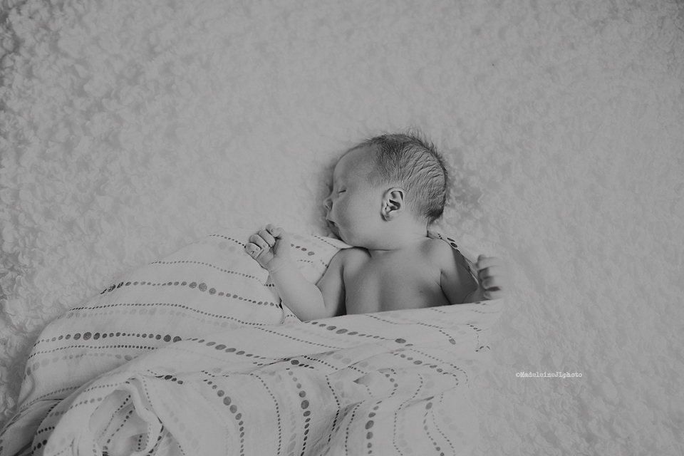 Fine art newborn photographer Orange County, southern California